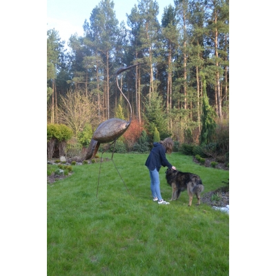 Czapla 265 cm
